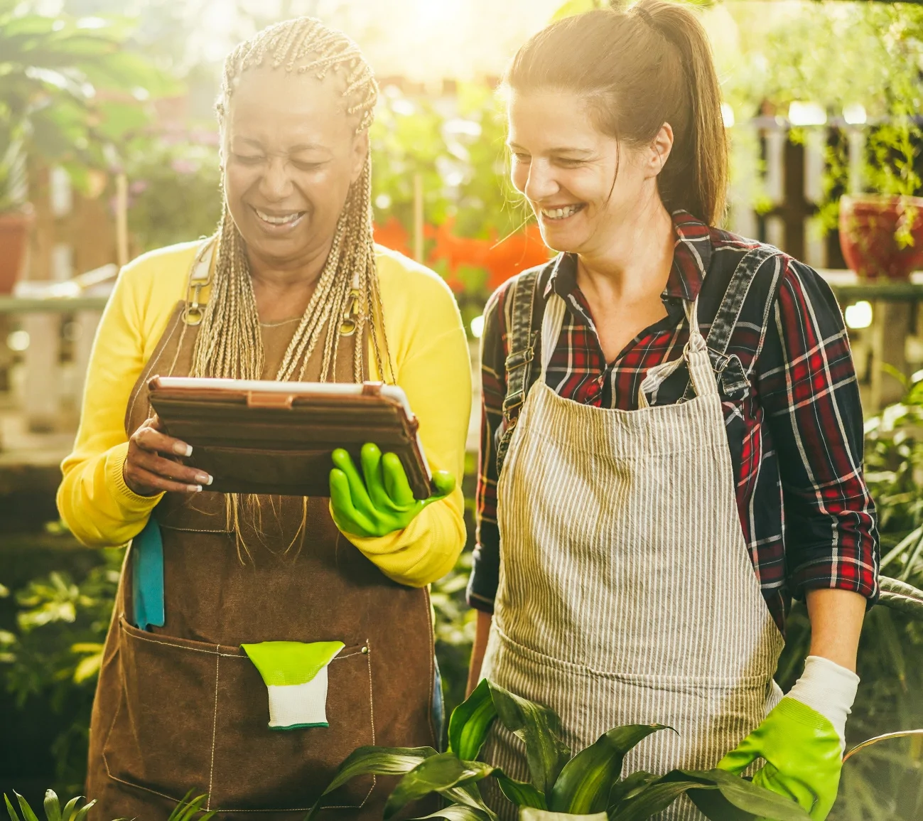 Independent Business owners working together with a tablet